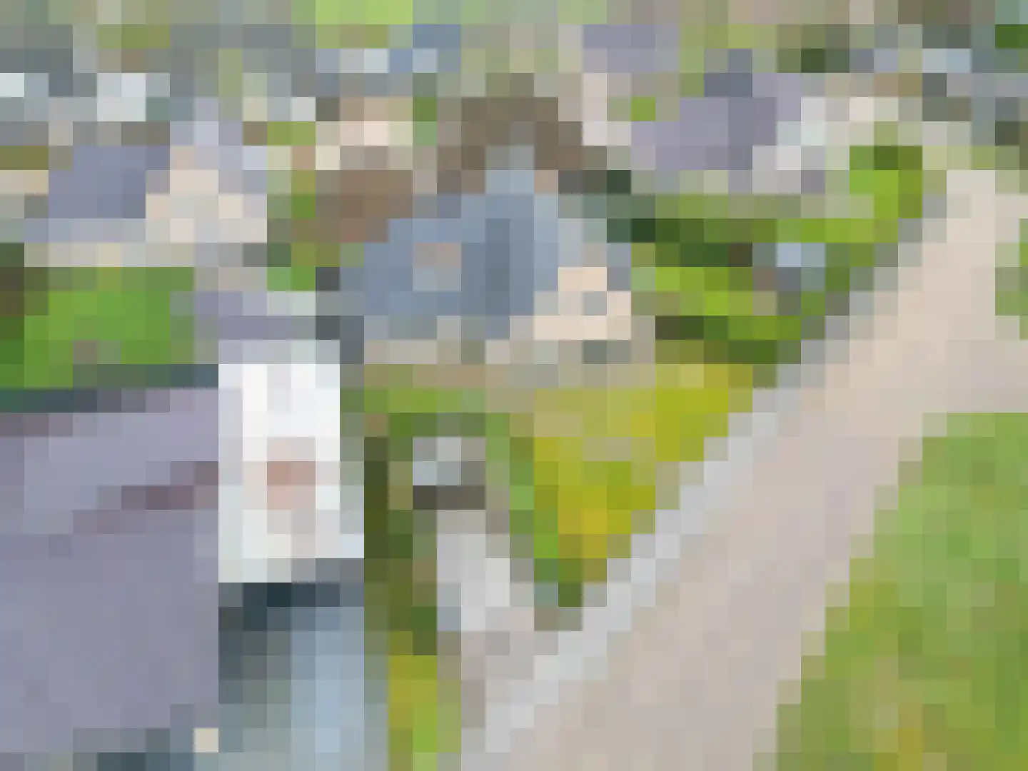 Fûgelkamp 11 Harkema thumbnail 89