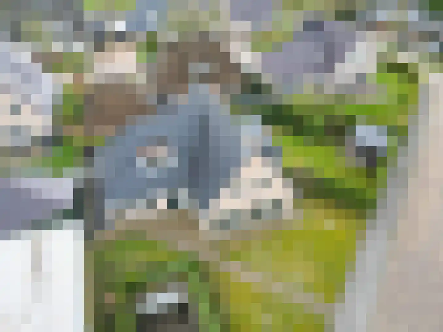 Fûgelkamp 11 Harkema thumbnail 90