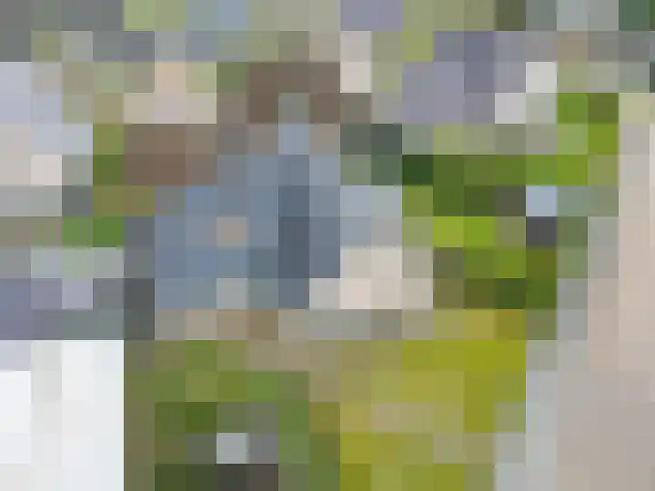 Fûgelkamp 11 Harkema thumbnail 92