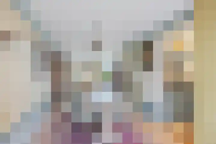 Fûgelleane 6 Bolsward thumbnail 10