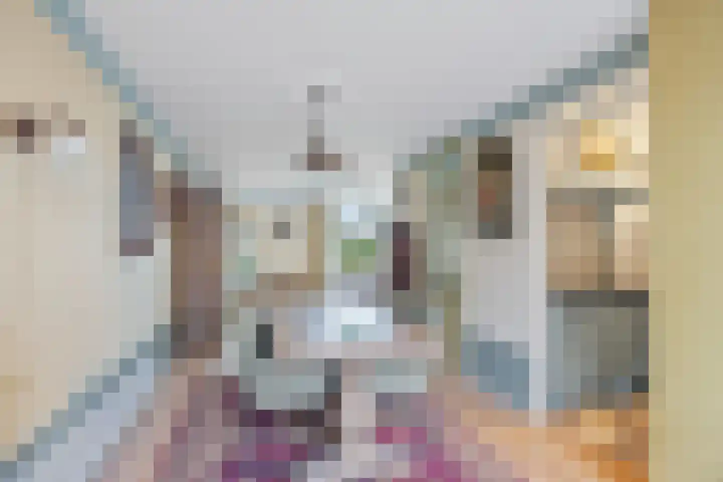 Fûgelleane 6 Bolsward thumbnail 10