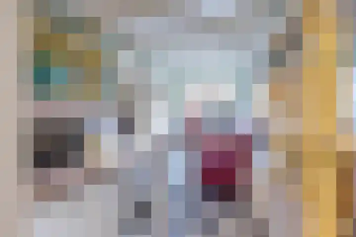 Fûgelleane 6 Bolsward thumbnail 13