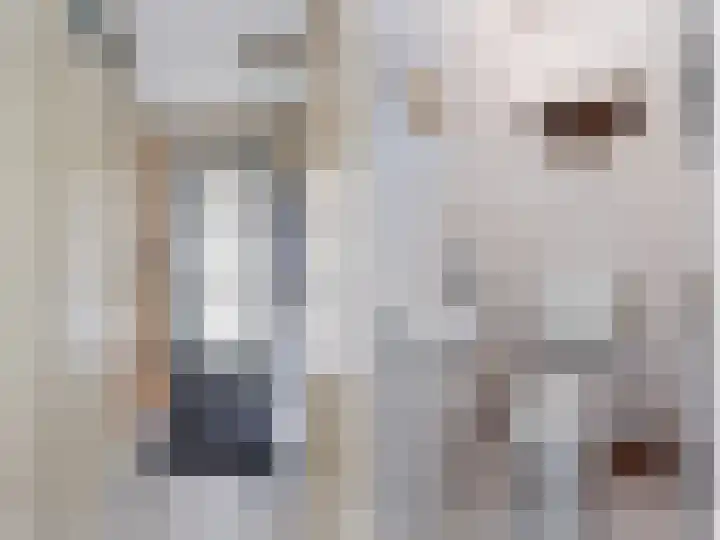 Fûgelleane 6 Bolsward thumbnail 15