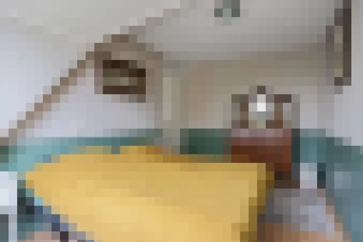 Fûgelleane 6 Bolsward thumbnail 18