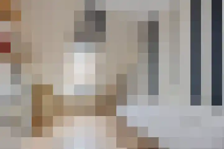 Fûgelleane 6 Bolsward thumbnail 19