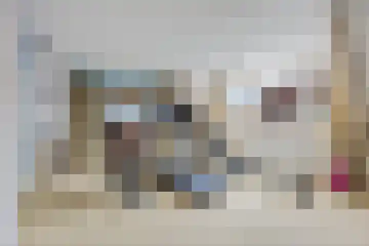 Fûgelleane 6 Bolsward thumbnail 22