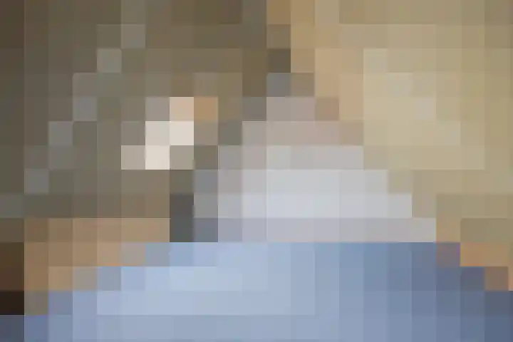 Fûgelleane 6 Bolsward thumbnail 26