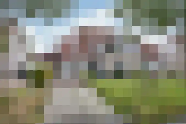 Fûgelleane 6 Bolsward thumbnail 37