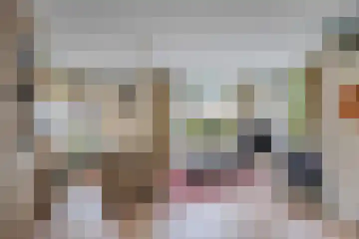 Fûgelleane 6 Bolsward thumbnail 4