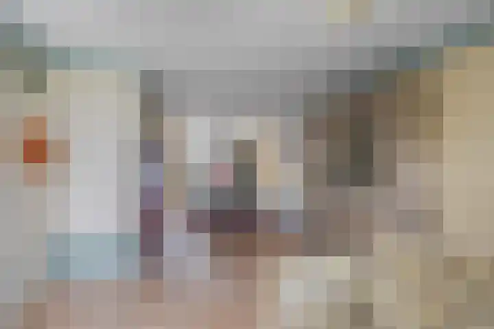 Fûgelleane 6 Bolsward thumbnail 5