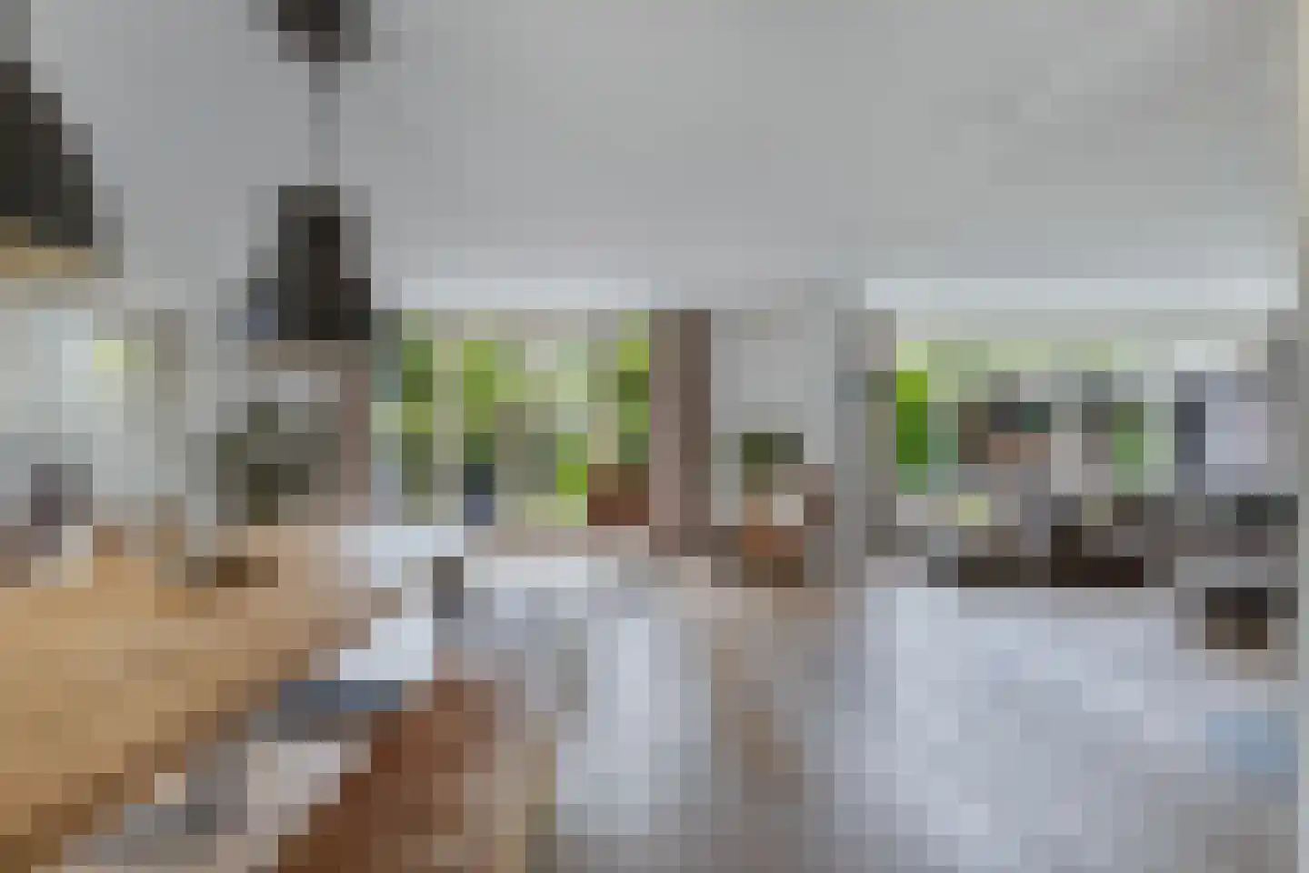 Fûgelliet 15 Ureterp thumbnail 11