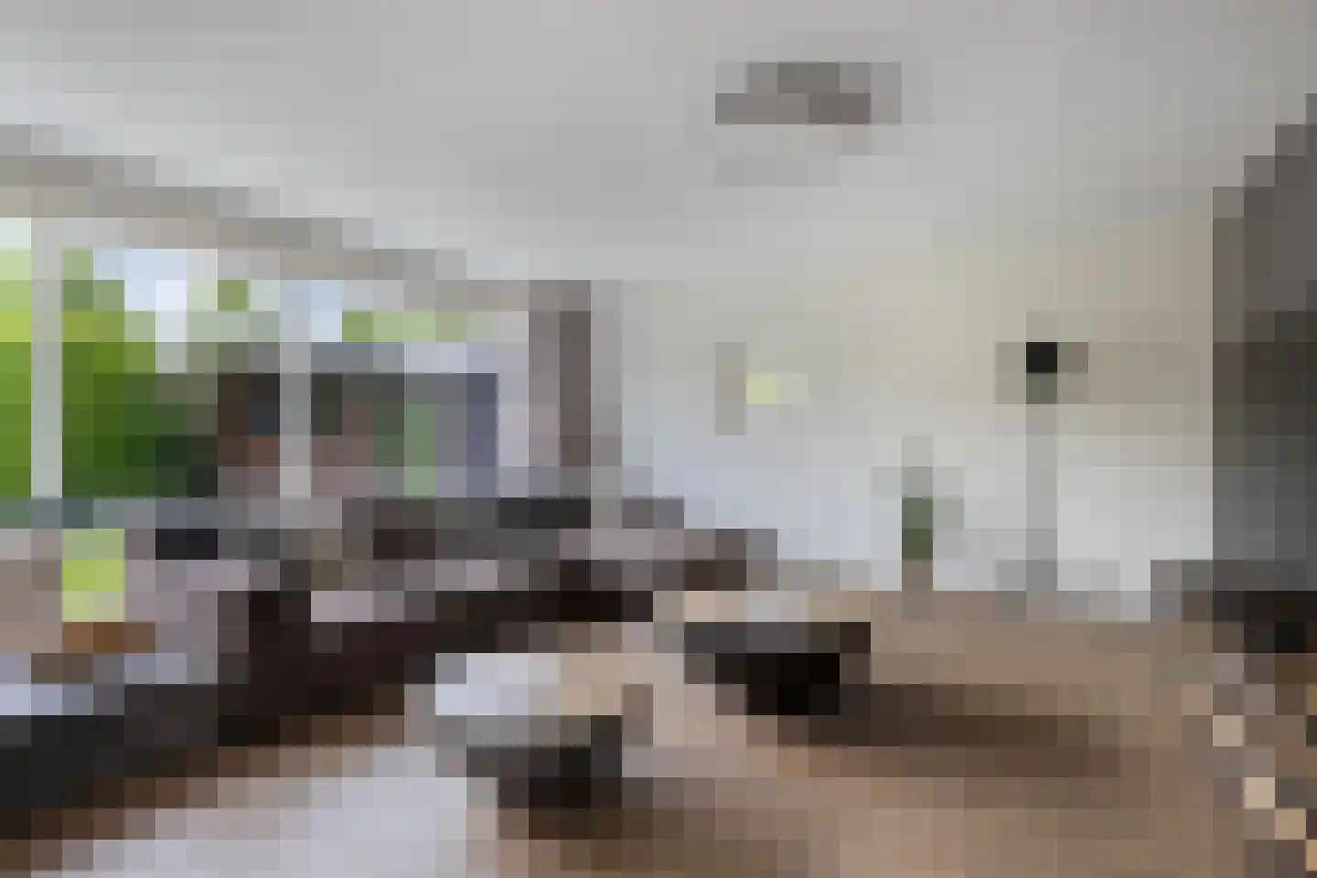 Fûgelliet 15 Ureterp thumbnail 15