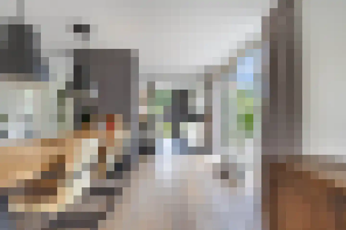 Fûgelliet 15 Ureterp thumbnail 19