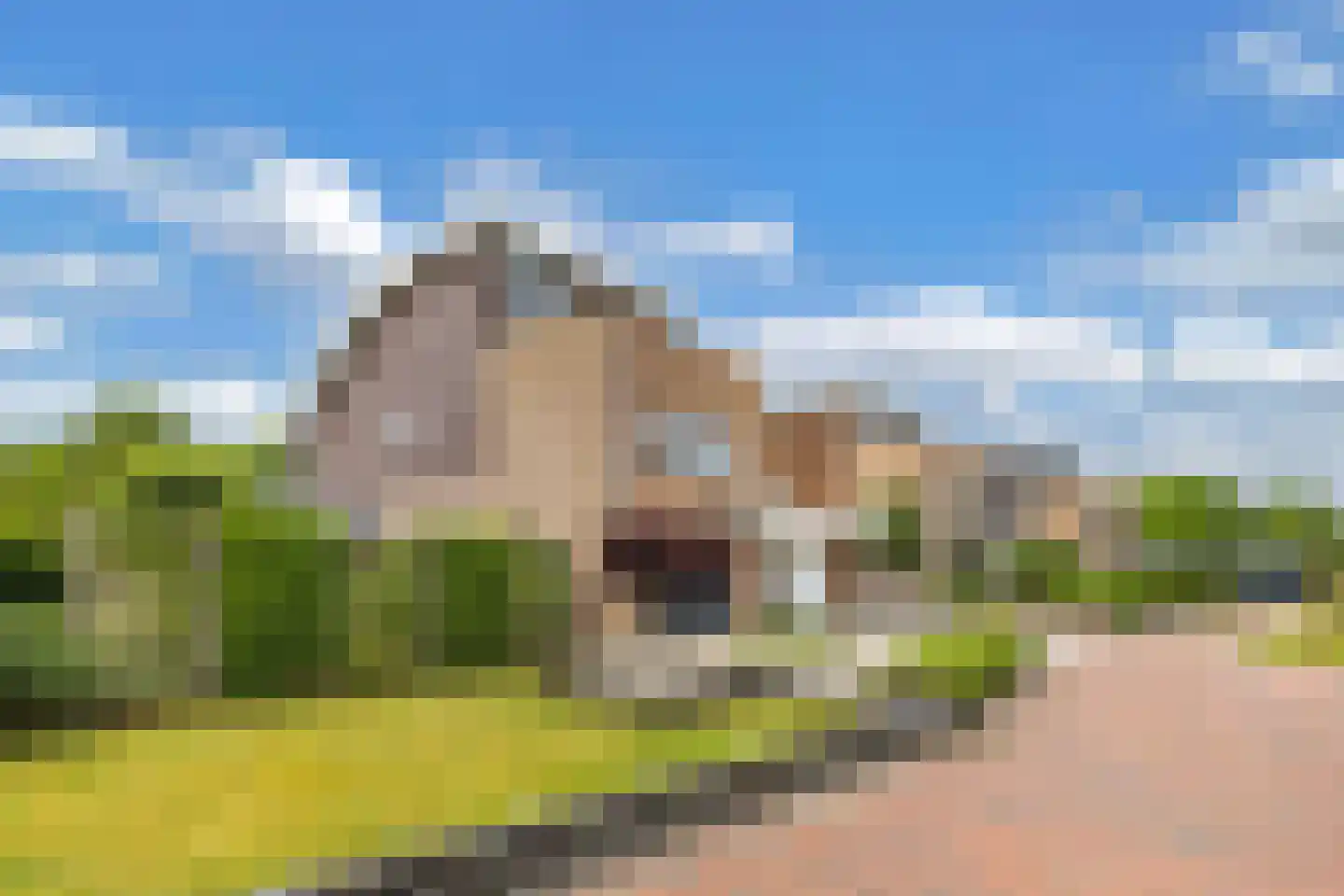 Fûgelliet 15 Ureterp foto 2