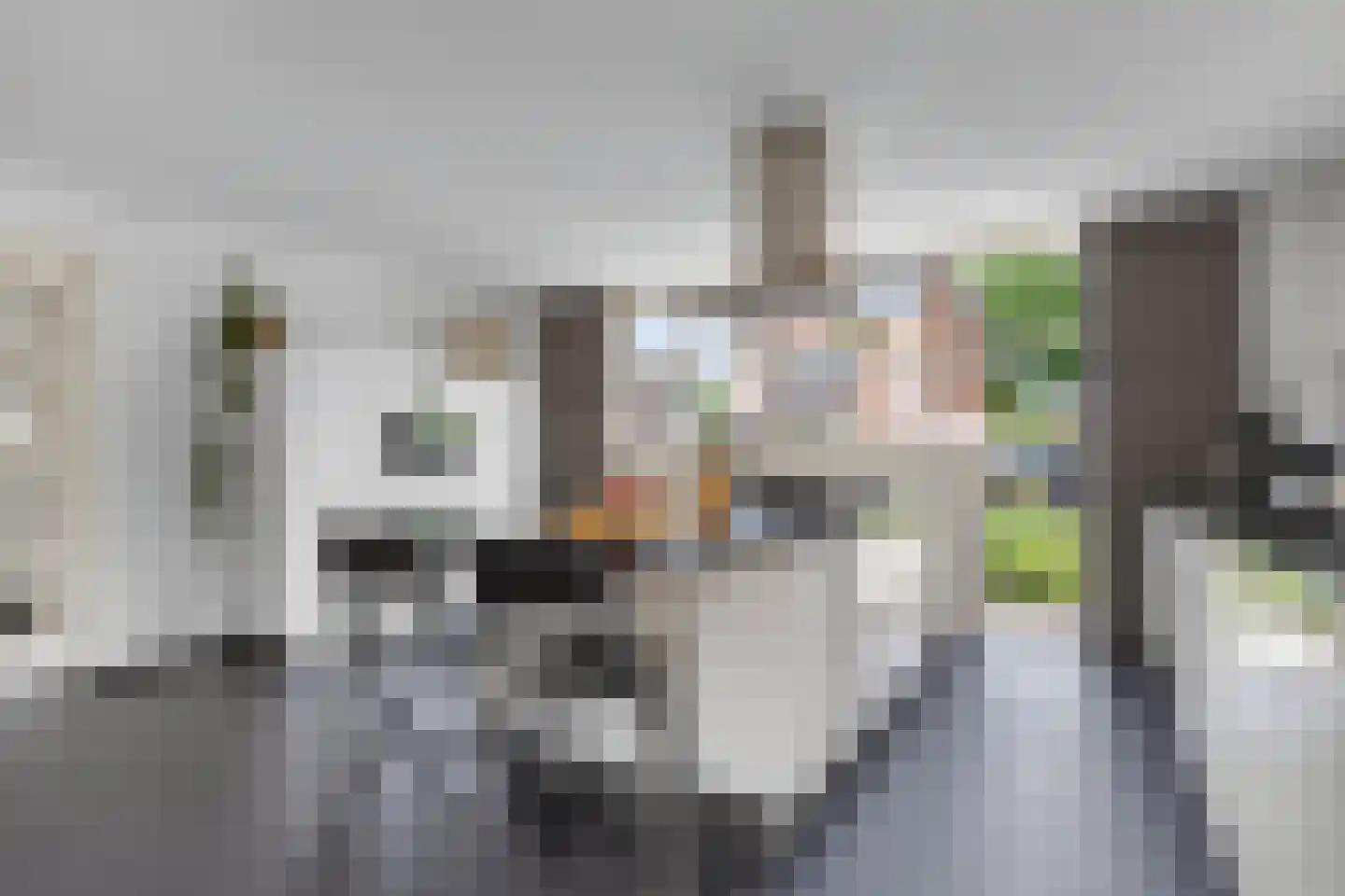 Fûgelliet 15 Ureterp thumbnail 20