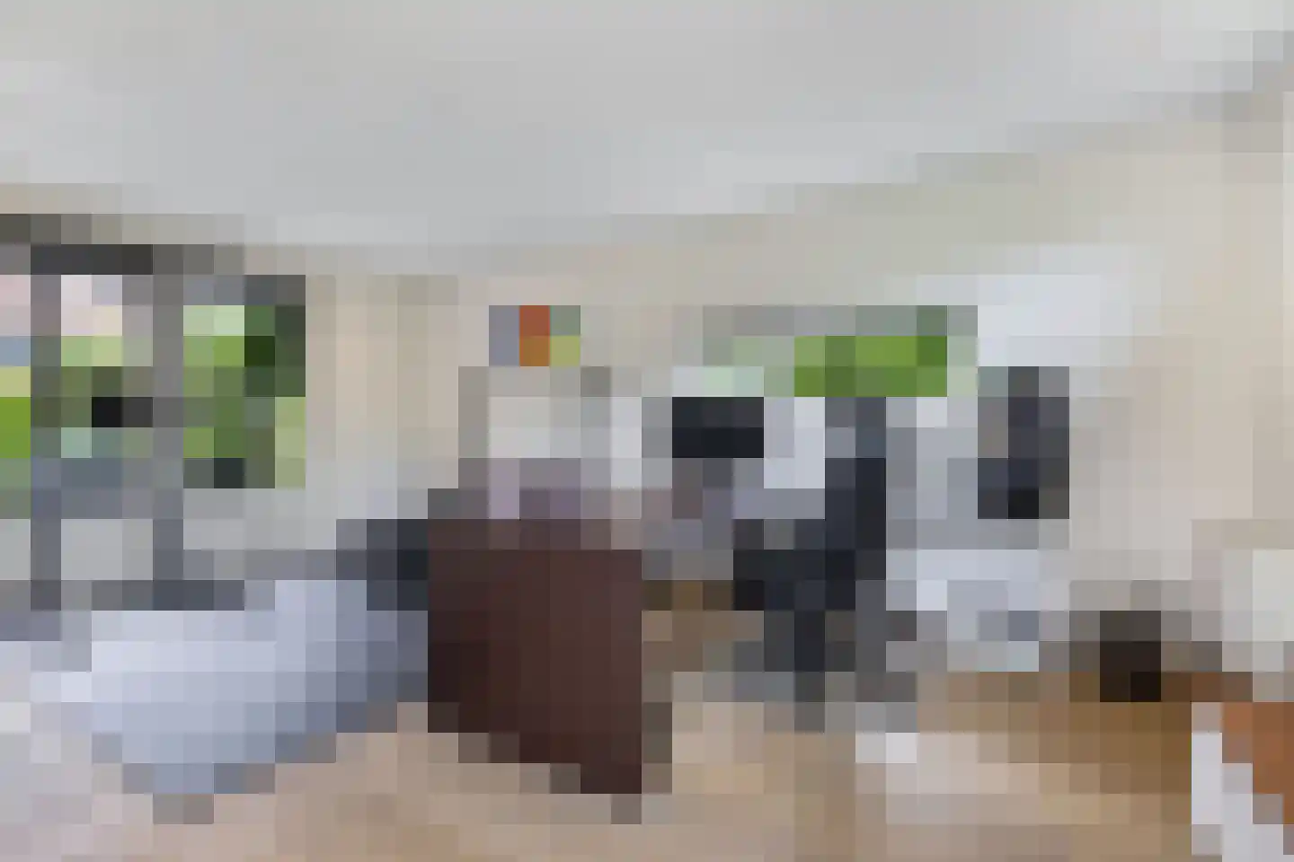 Fûgelliet 15 Ureterp thumbnail 29