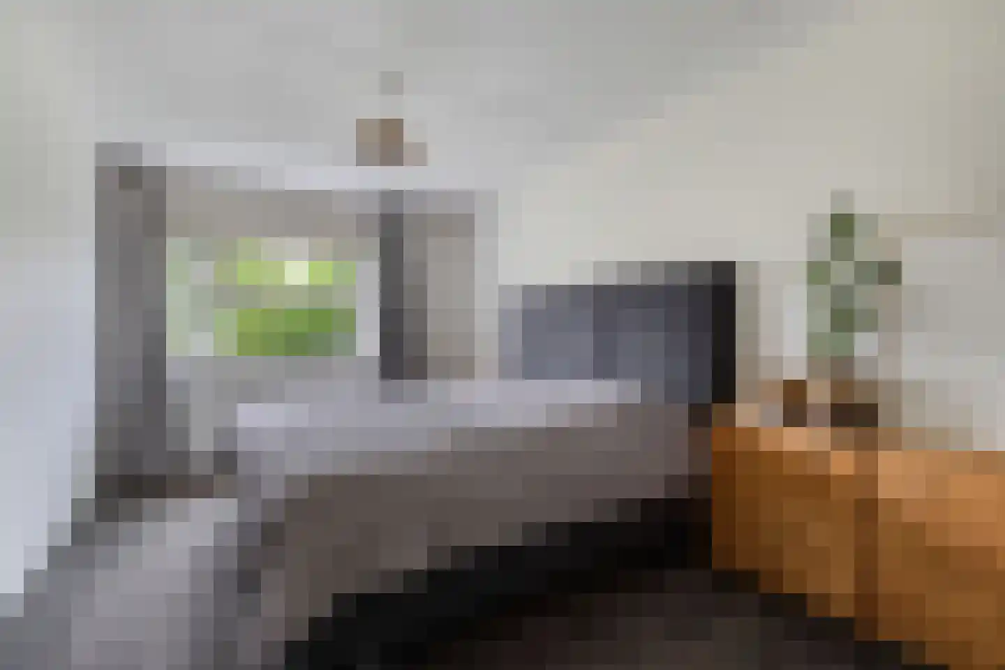 Fûgelliet 15 Ureterp thumbnail 37