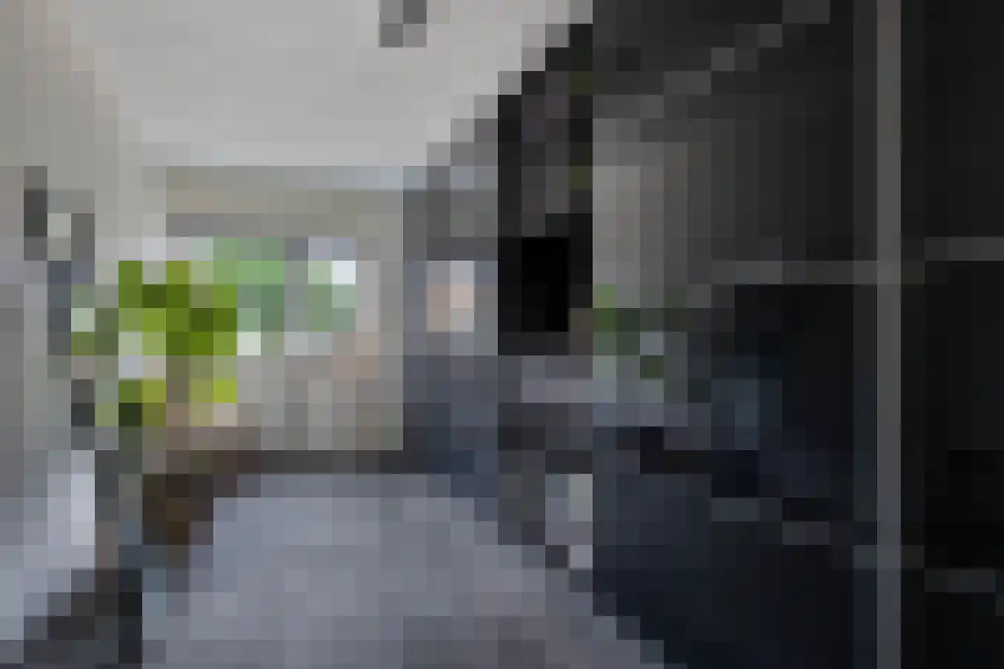 Fûgelliet 15 Ureterp thumbnail 39