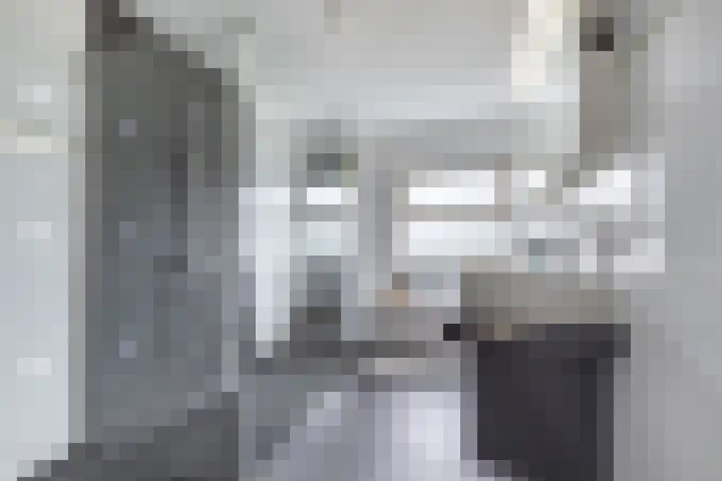 Fûgelliet 15 Ureterp thumbnail 41