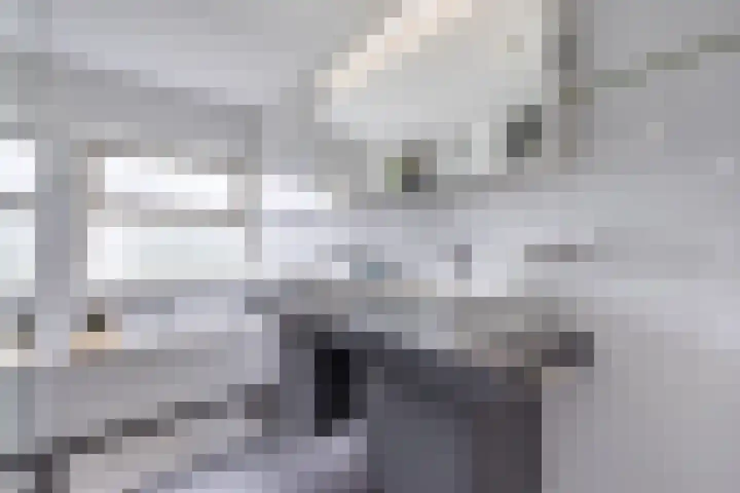 Fûgelliet 15 Ureterp thumbnail 42