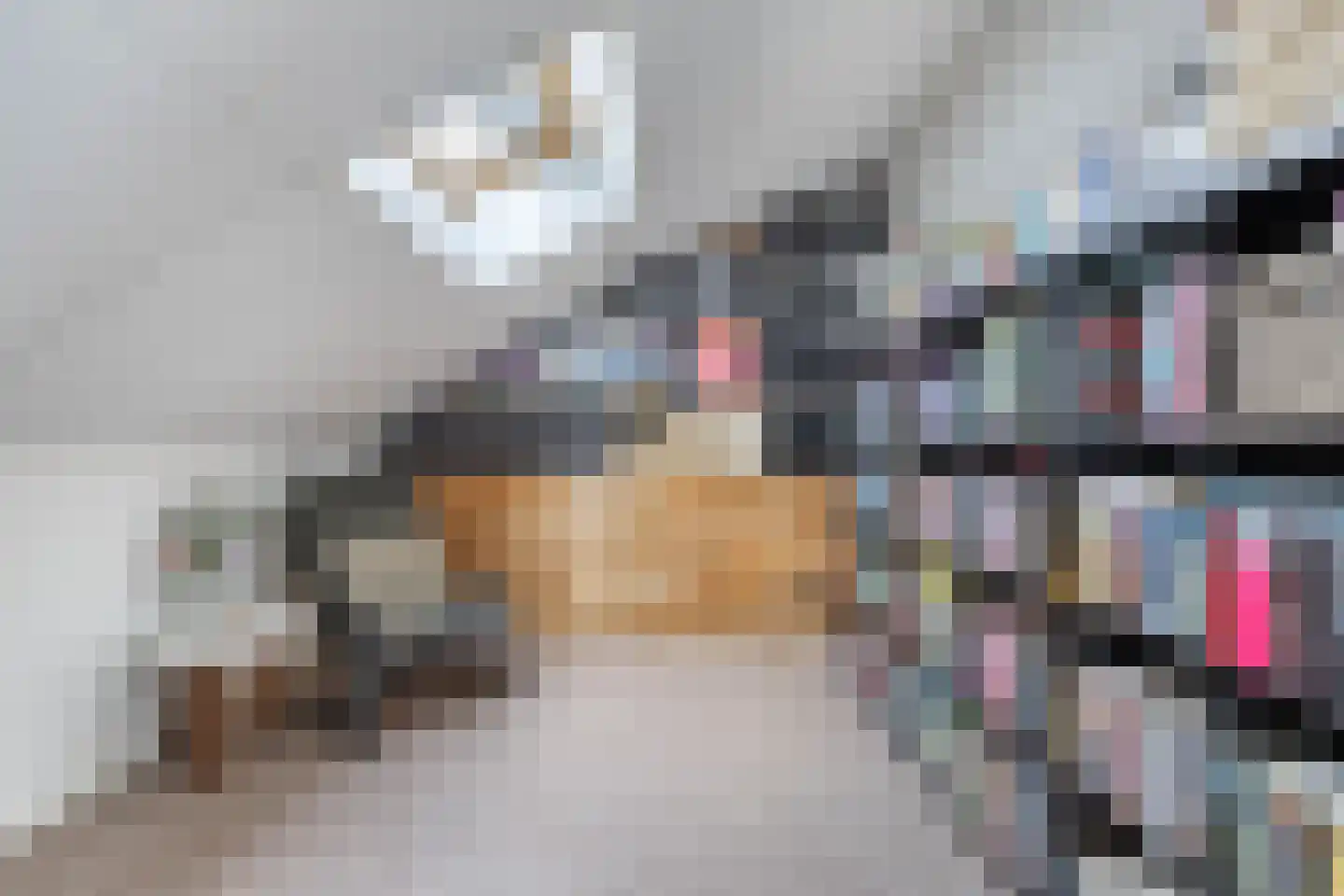 Fûgelliet 15 Ureterp thumbnail 49
