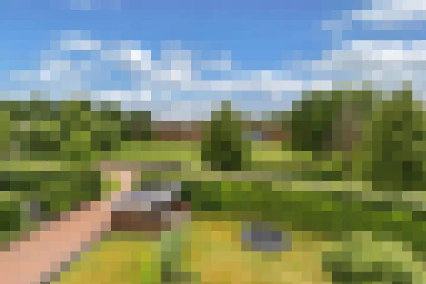 Fûgelliet 15 Ureterp thumbnail 55