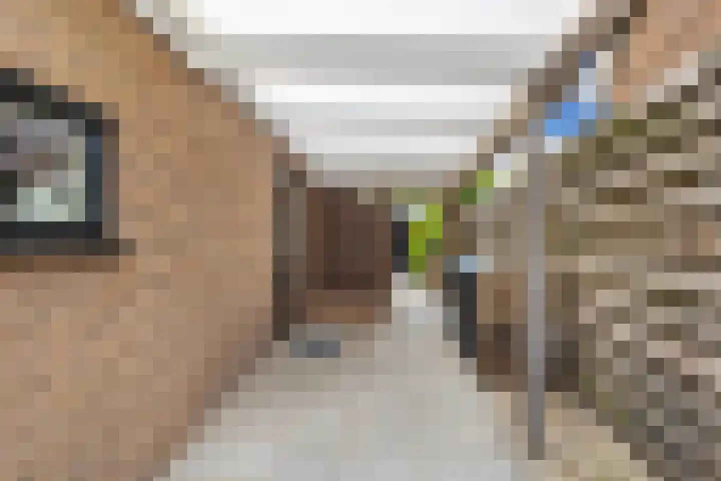 Fûgelliet 15 Ureterp thumbnail 57