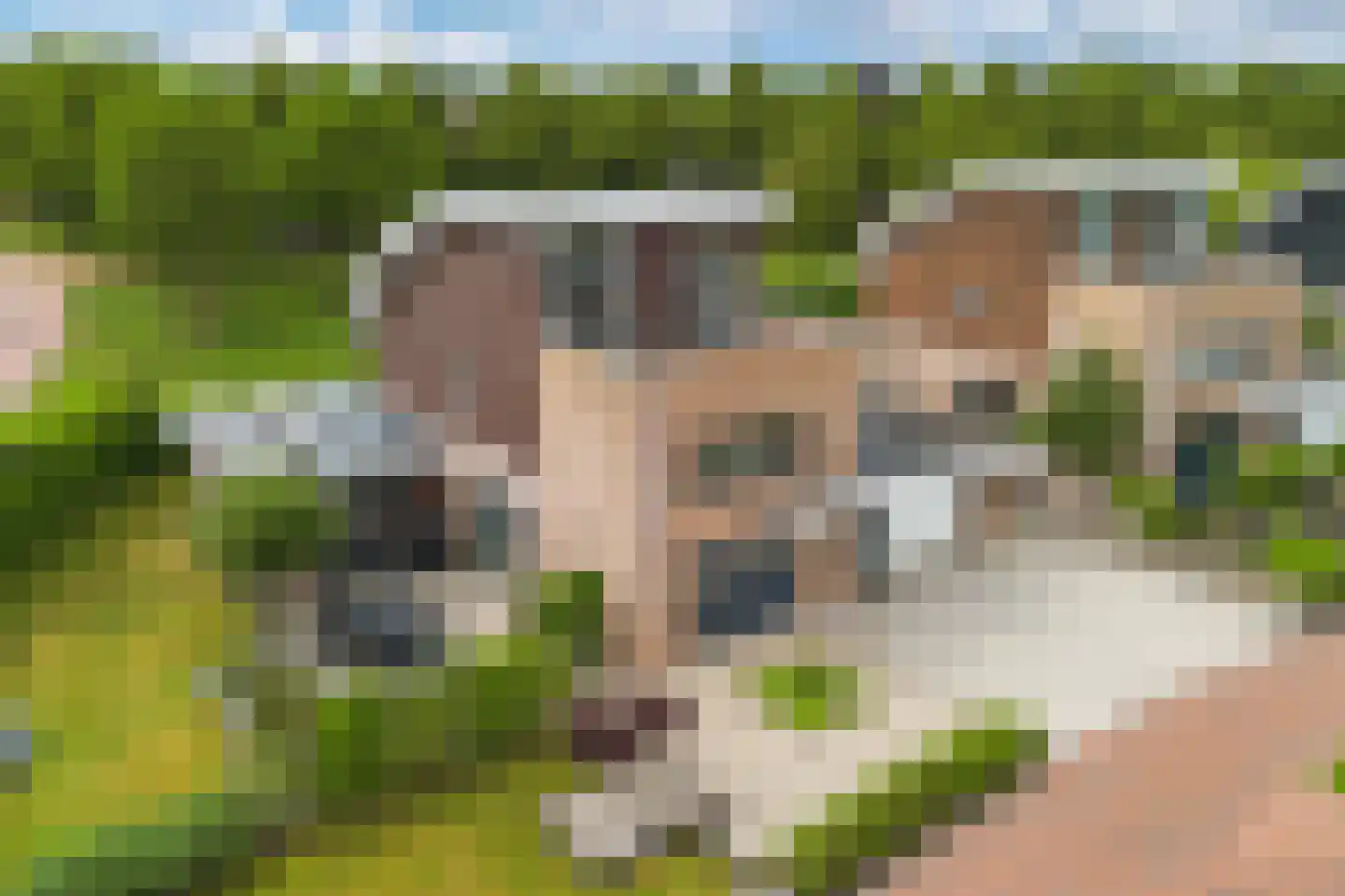 Fûgelliet 15 Ureterp thumbnail 6