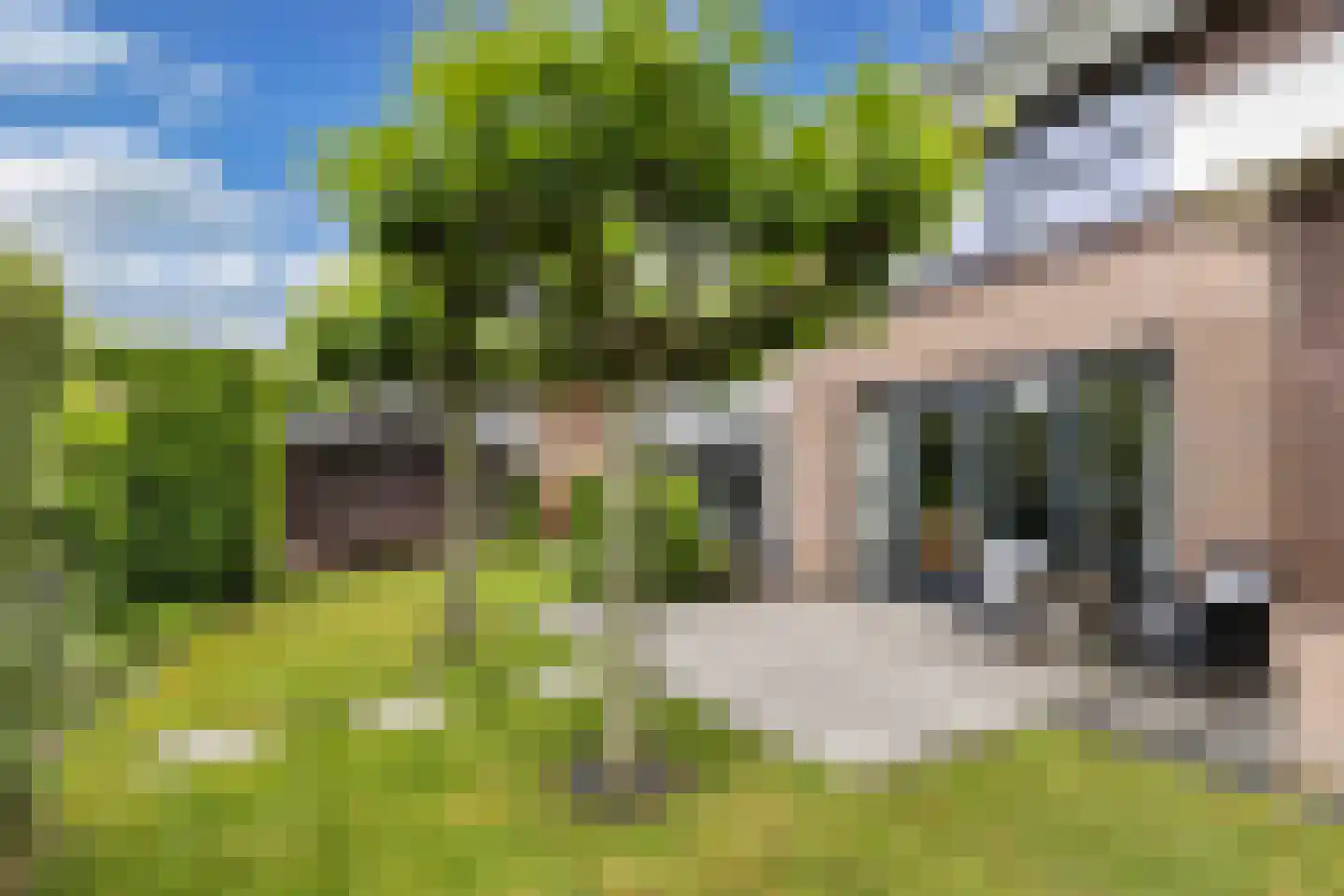 Fûgelliet 15 Ureterp thumbnail 60