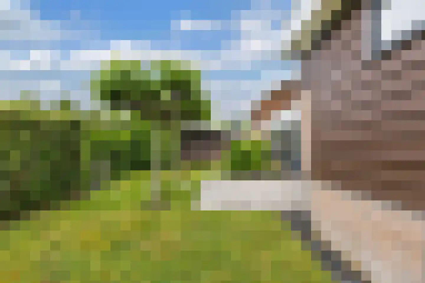 Fûgelliet 15 Ureterp thumbnail 61