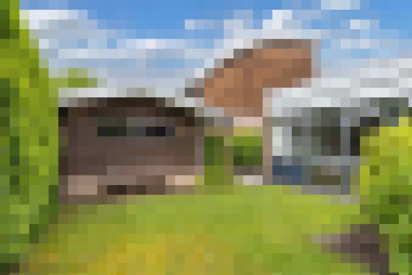 Fûgelliet 15 Ureterp thumbnail 62