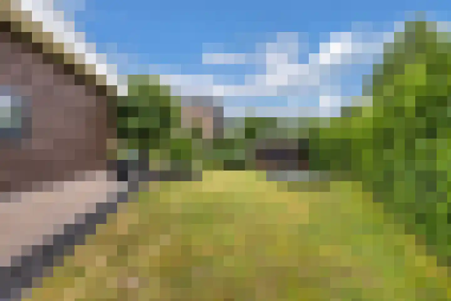 Fûgelliet 15 Ureterp thumbnail 66