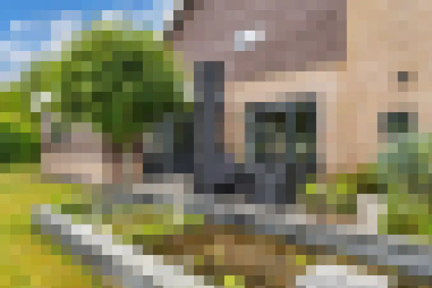Fûgelliet 15 Ureterp thumbnail 69