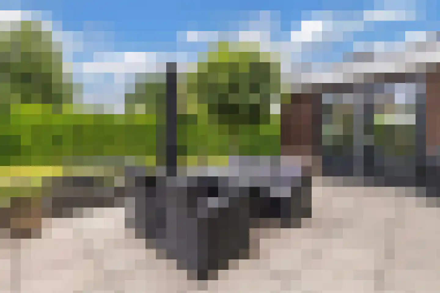 Fûgelliet 15 Ureterp thumbnail 71