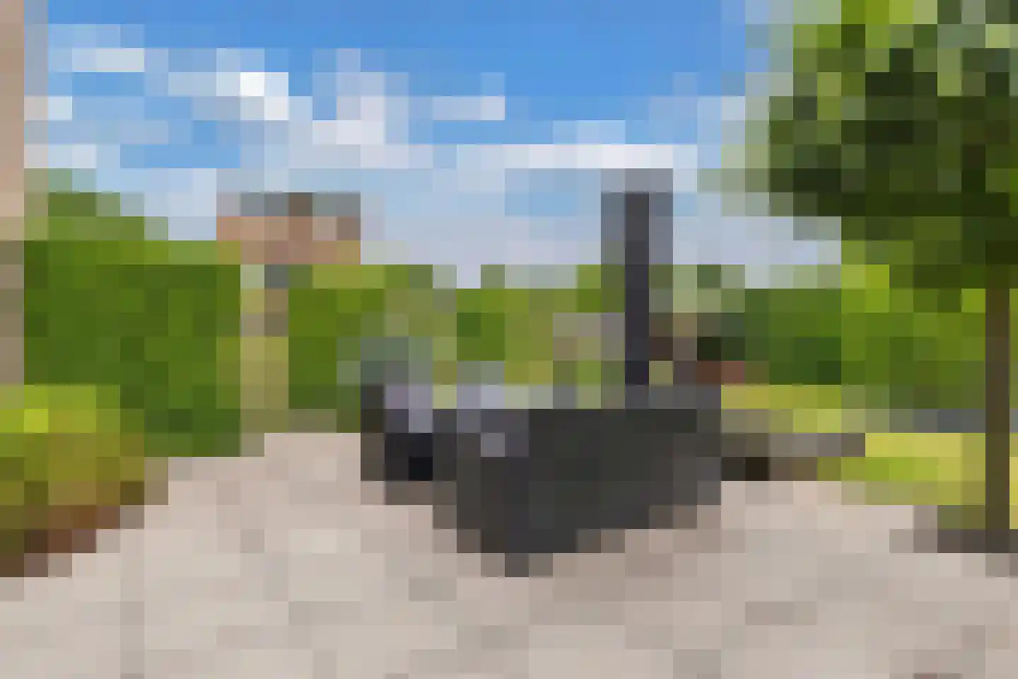 Fûgelliet 15 Ureterp thumbnail 72