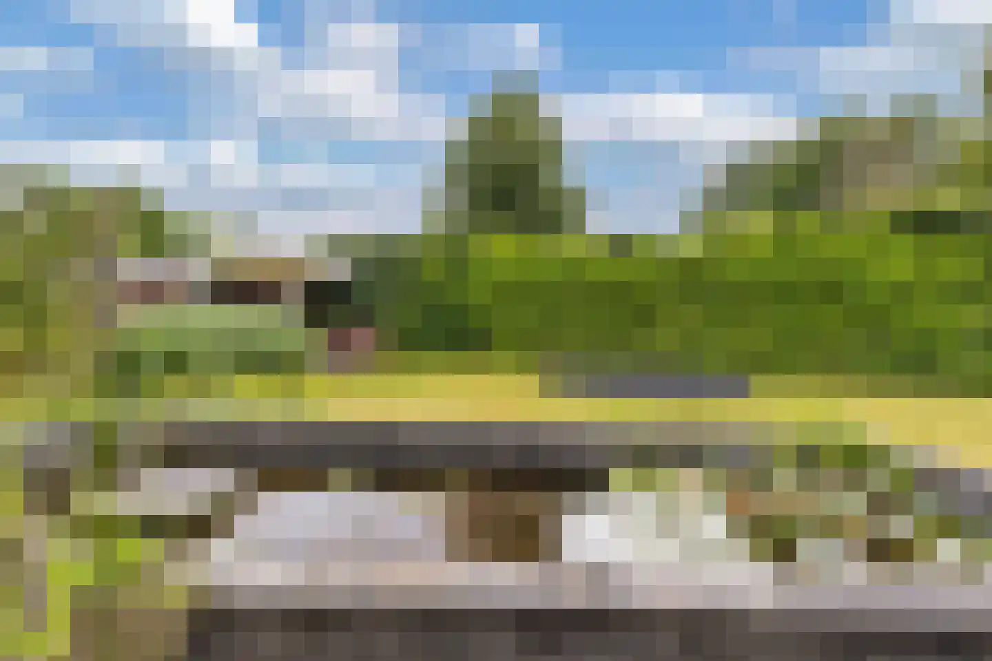 Fûgelliet 15 Ureterp thumbnail 73
