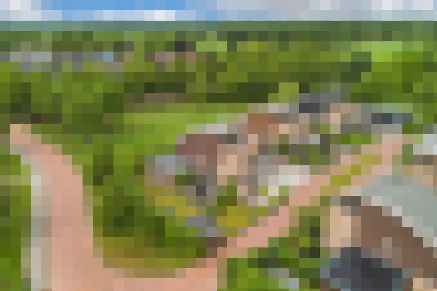 Fûgelliet 15 Ureterp thumbnail 78