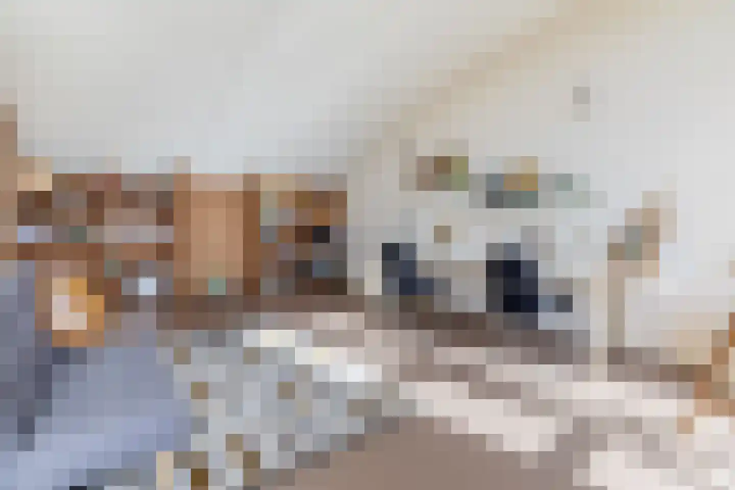 Fûgelliet 19 Ureterp thumbnail 28