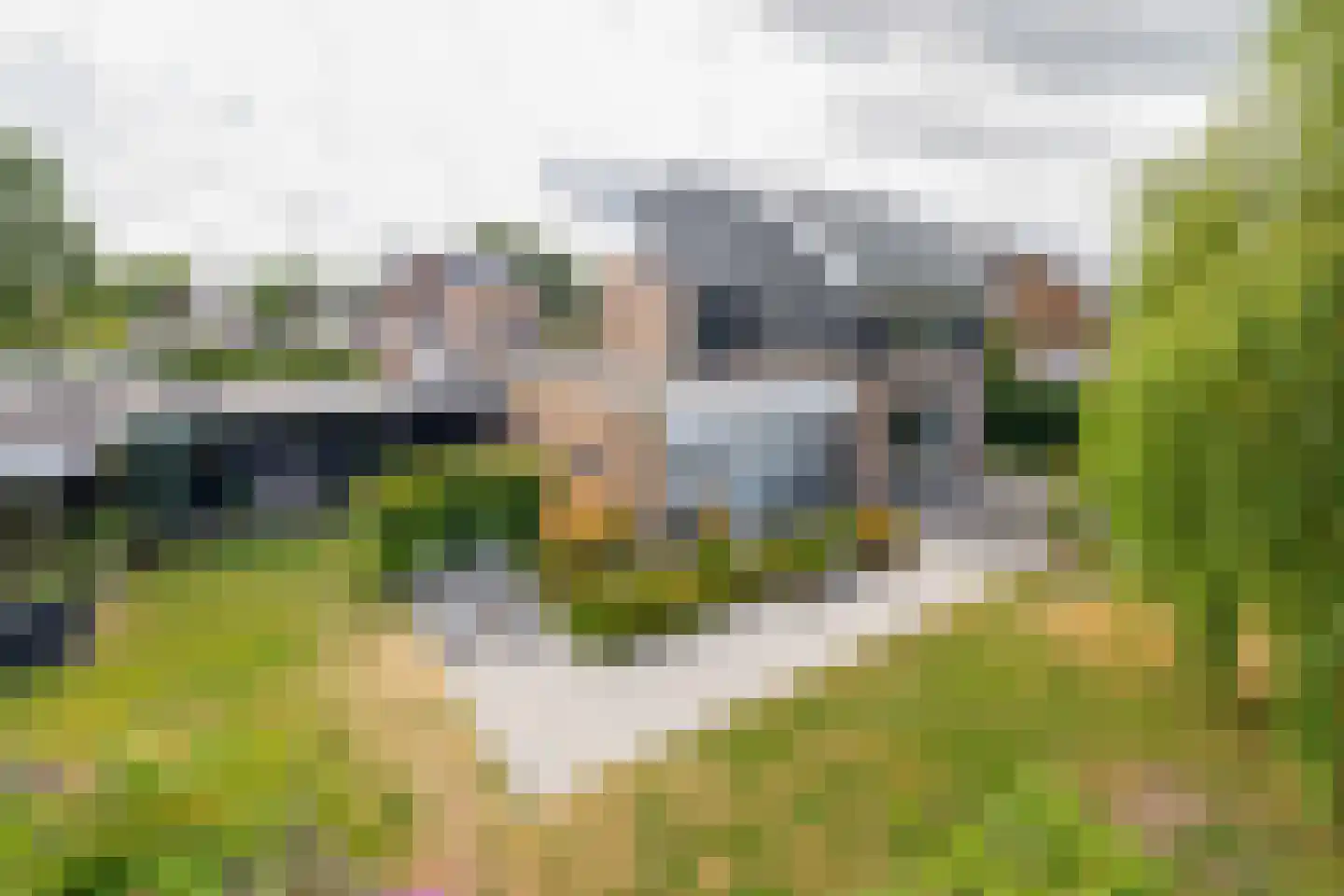 Fûgelliet 19 Ureterp thumbnail 33