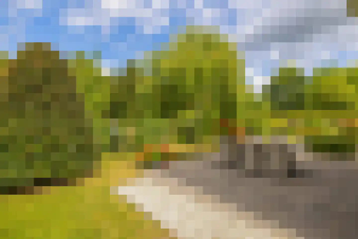 Fûgelliet 19 Ureterp thumbnail 38