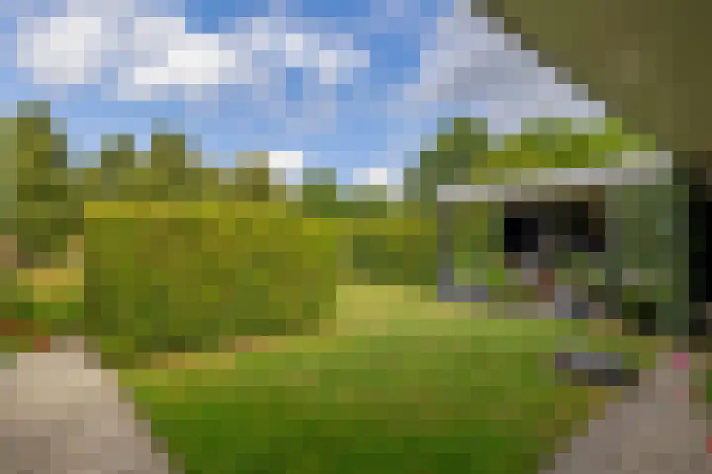 Fûgelliet 19 Ureterp thumbnail 39