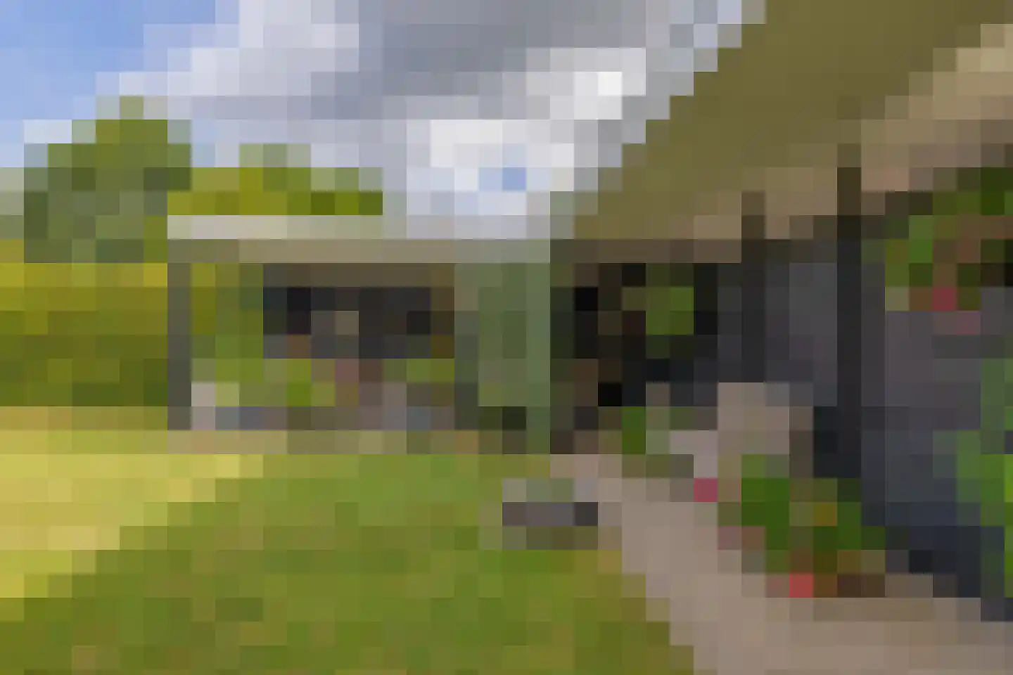 Fûgelliet 19 Ureterp thumbnail 40