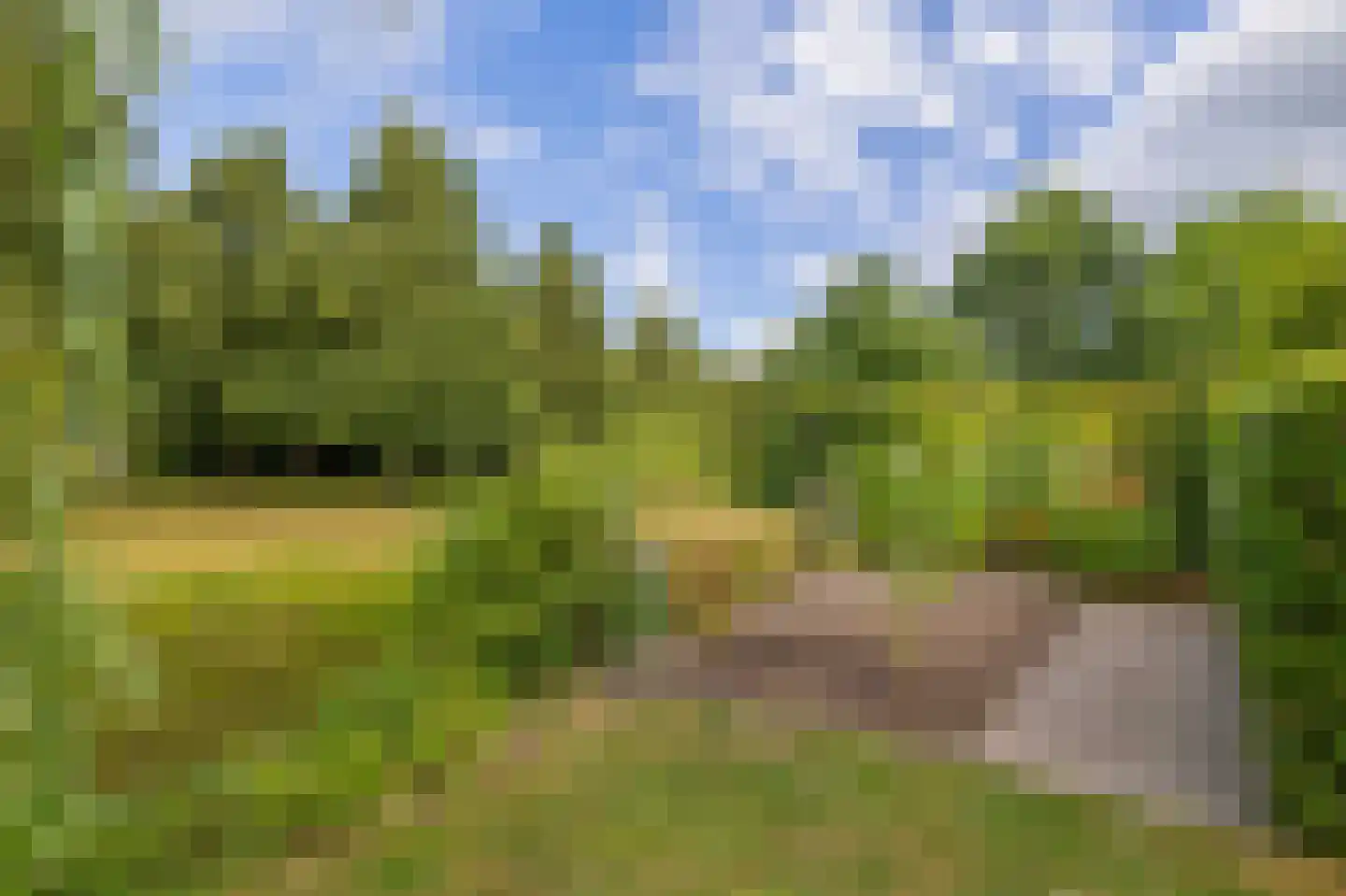 Fûgelliet 19 Ureterp thumbnail 43
