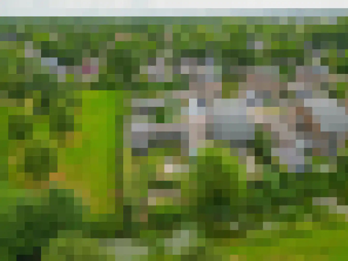 Fûgelliet 19 Ureterp thumbnail 49