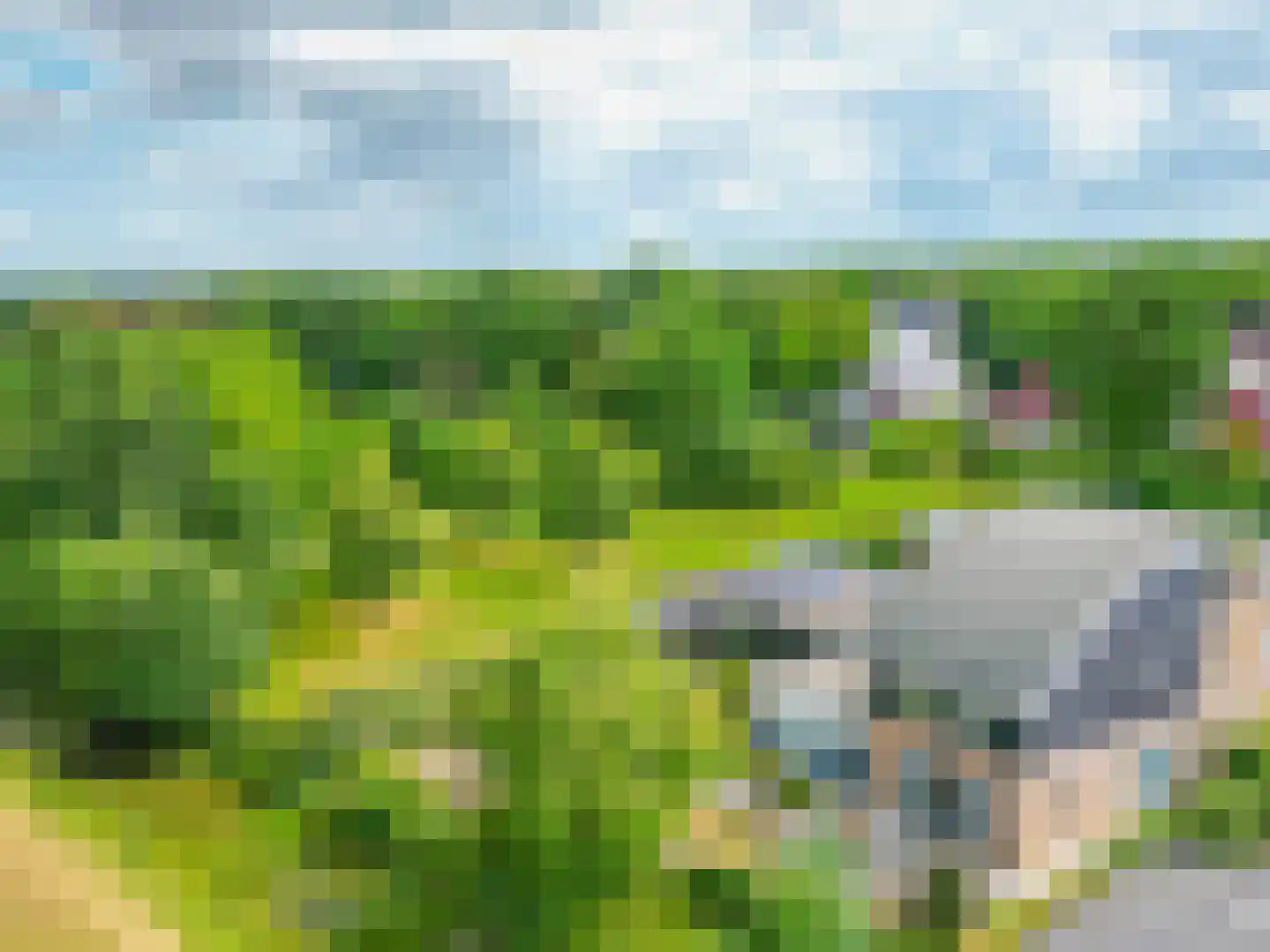 Fûgelliet 19 Ureterp thumbnail 51