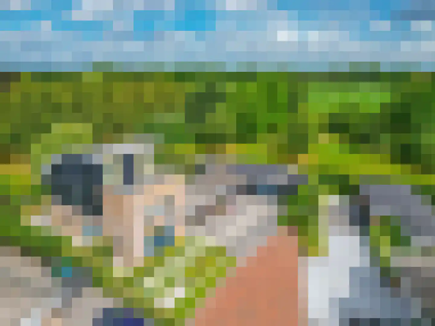 Fûgelliet 19 Ureterp thumbnail 52