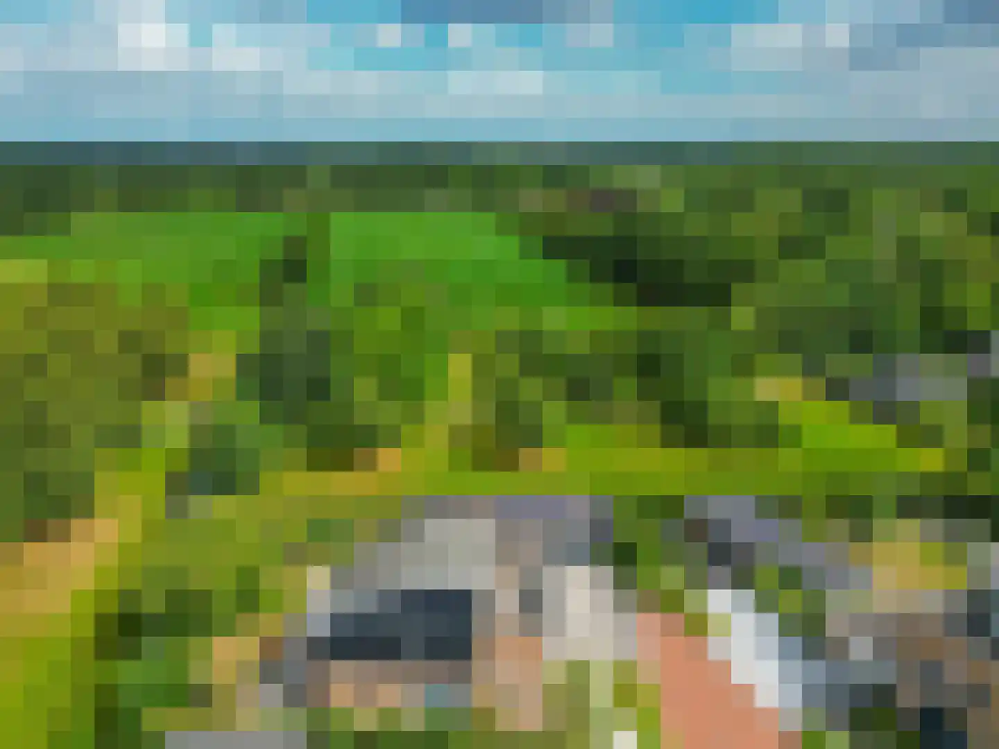 Fûgelliet 19 Ureterp thumbnail 54