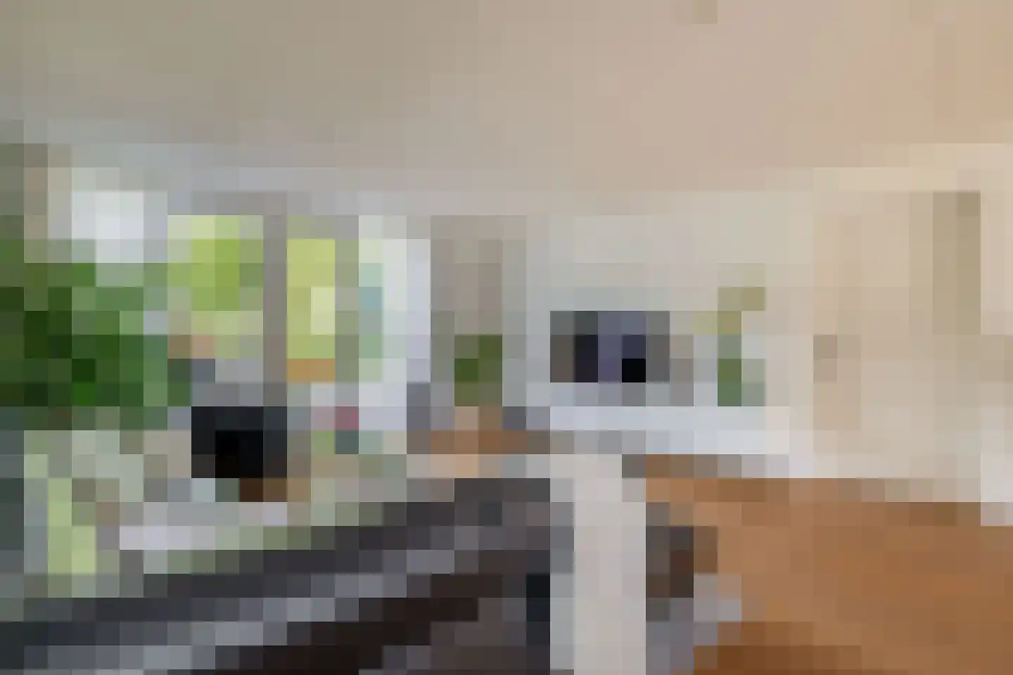 Fûgelliet 19 Ureterp thumbnail 8