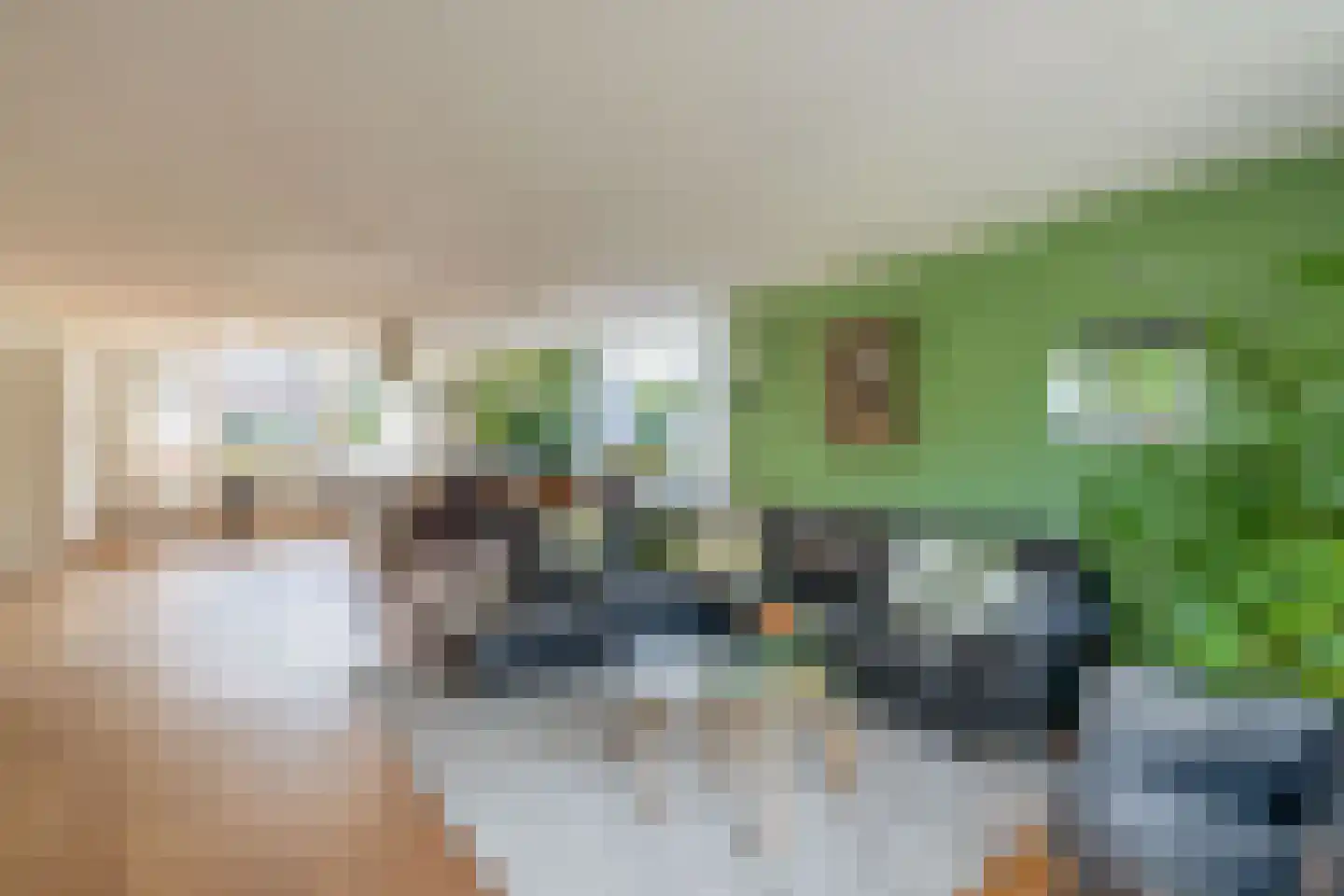 Fûgelliet 19 Ureterp thumbnail 9