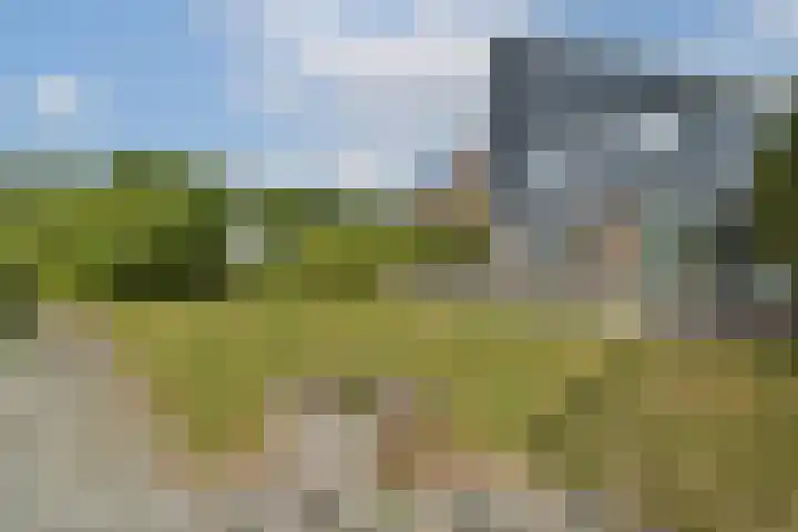 Fuik 18 Monnickendam thumbnail 16